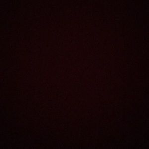 Meet your Posher, Hayden